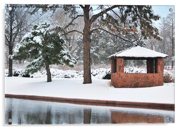 Winter Beauty Acrylic by Betty LaRue