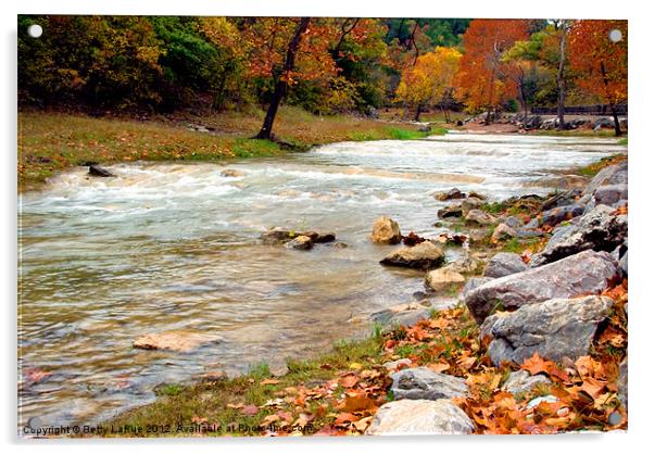 The Brook Acrylic by Betty LaRue