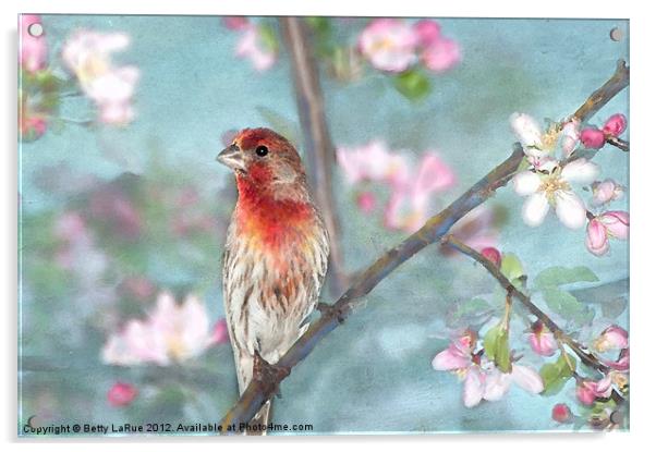 Lovely in Spring Acrylic by Betty LaRue