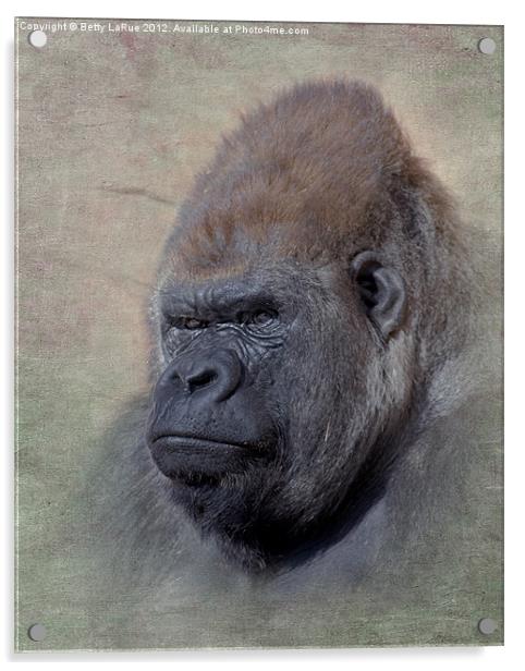 Western Lowland Gorilla Acrylic by Betty LaRue