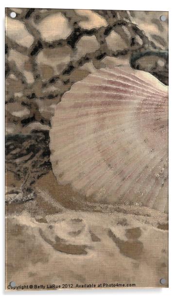 Scallop Sea Shell Acrylic by Betty LaRue