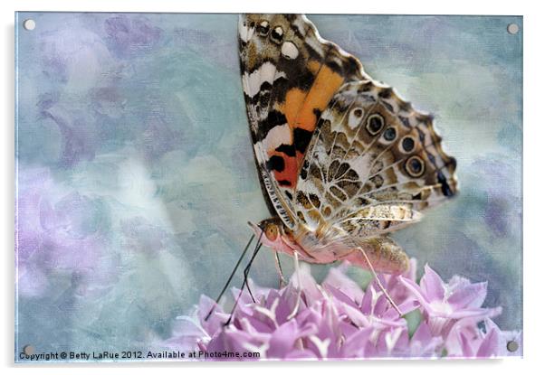 Painted Lady Butterfly Acrylic by Betty LaRue
