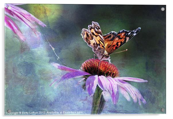 Sunlit Painted Lady Butterfly Acrylic by Betty LaRue