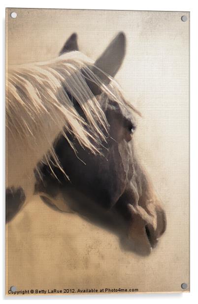 Paint Horse Portrait Acrylic by Betty LaRue