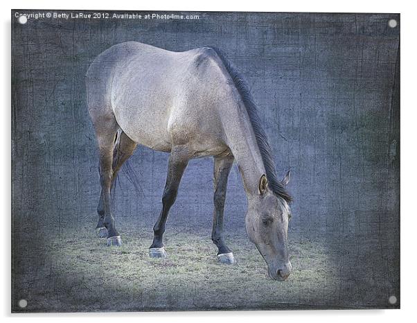 Quarter Horse Grazing in Blue Acrylic by Betty LaRue