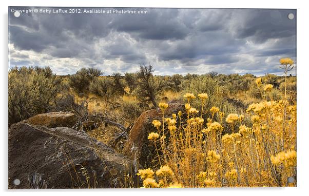 Oregon High Desert Vista Acrylic by Betty LaRue