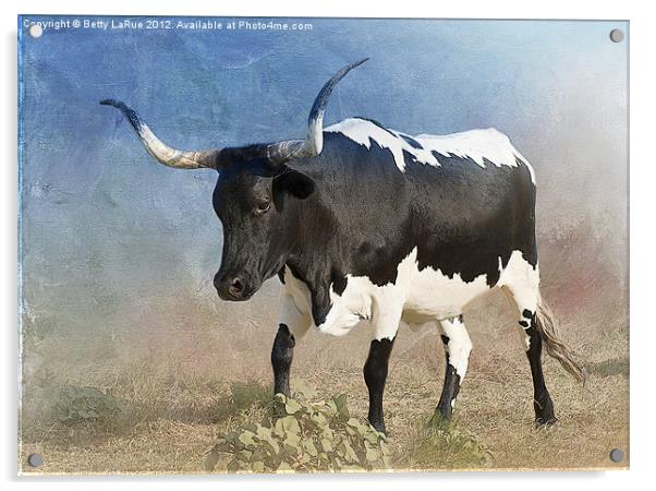 Texas Longhorn #4 Acrylic by Betty LaRue