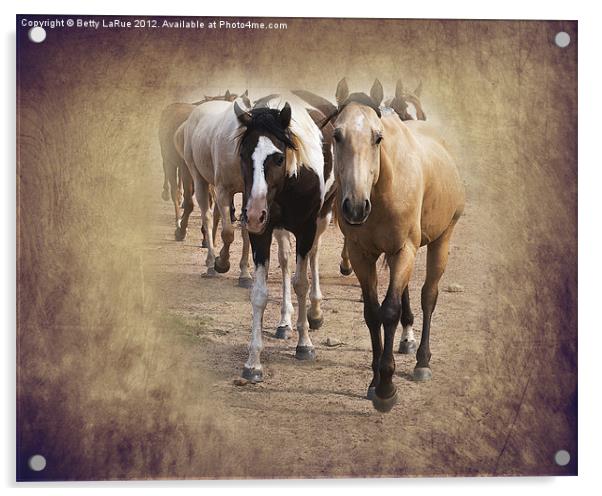 American Quarter Horse Herd Acrylic by Betty LaRue