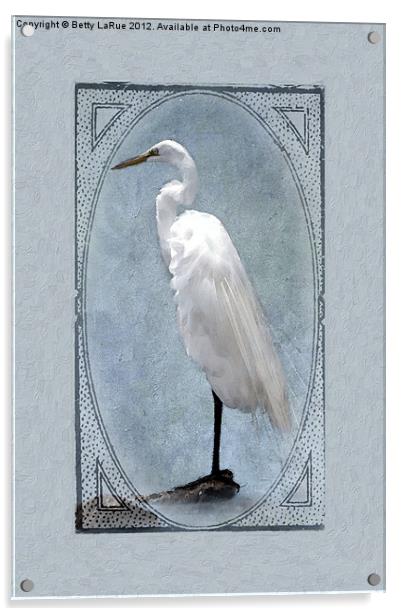 Great Egret Digital Painting Acrylic by Betty LaRue