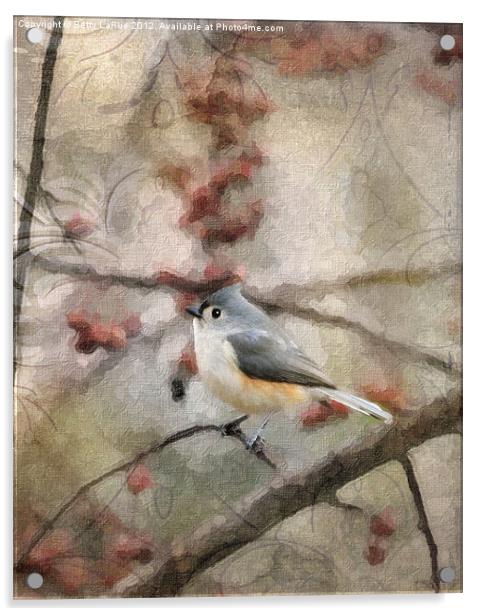 Tufted Titmouse in Crabapple Tree 2 Acrylic by Betty LaRue