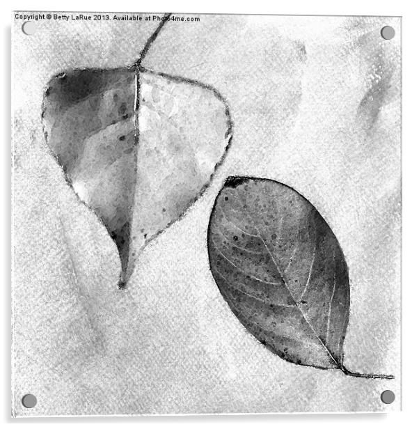 Leaves in Black and White Acrylic by Betty LaRue
