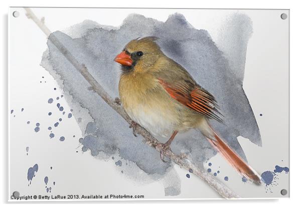 Winter Northern Cardinal Acrylic by Betty LaRue