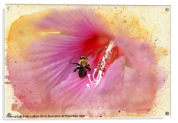 Bumble Bee Bliss Acrylic by Betty LaRue