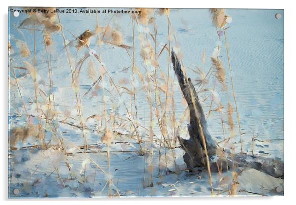 Driftwood Abstract Acrylic by Betty LaRue