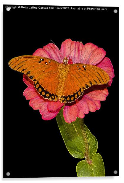 Gulf Fritillary Butterfly Acrylic by Betty LaRue