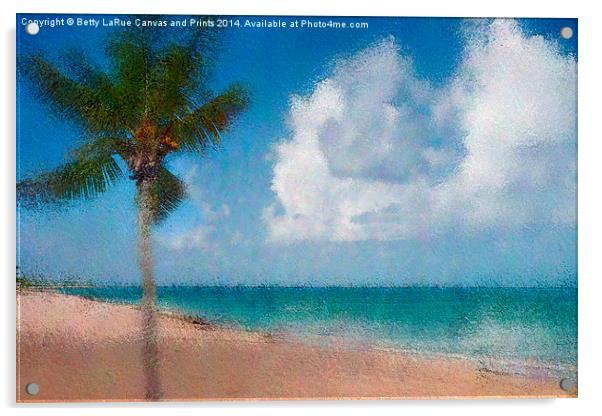 Caribbean Dreams Acrylic by Betty LaRue
