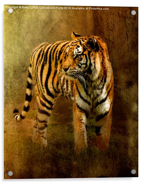 On The Hunt Acrylic by Betty LaRue