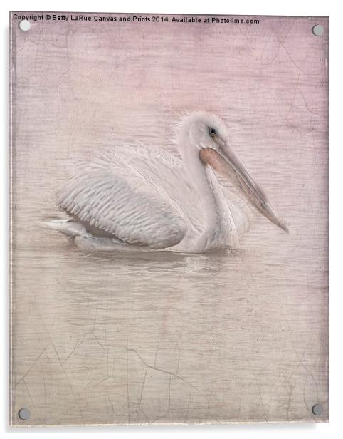 Pelican in Pastel Acrylic by Betty LaRue