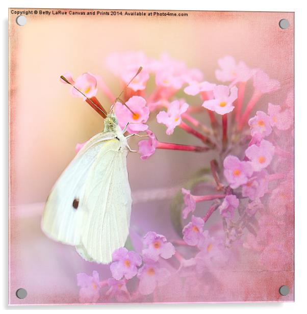Butterfly Bliss Acrylic by Betty LaRue