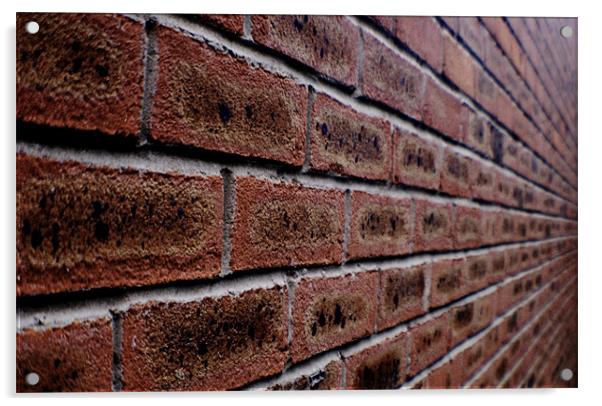 Brick Wall Acrylic by Naufragus Simia