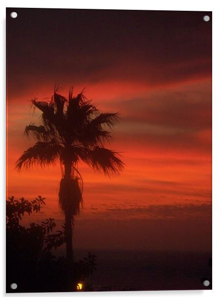 Palm tree at sunset Acrylic by Marcela Mikowski