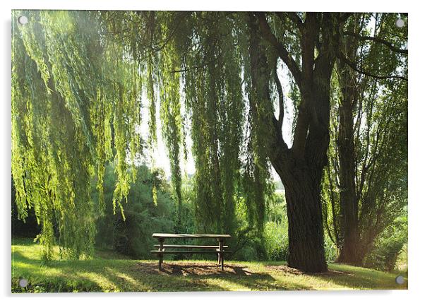 Dawn Picnic Time Acrylic by Corrine Weaver