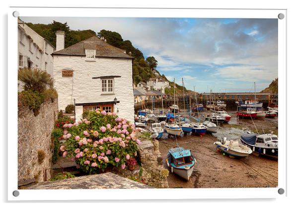 Polperro Acrylic by Andrew Roland