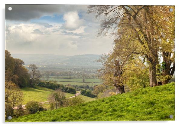 Cotswolds Landscape in Spring Acrylic by Andrew Roland