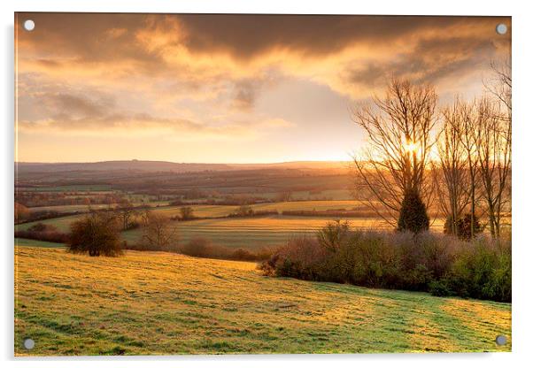 Golden winters morning, England Acrylic by Andrew Roland