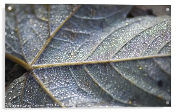 Little drops Acrylic by Chiara Cattaruzzi