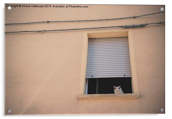 The cat in the window Acrylic by Chiara Cattaruzzi