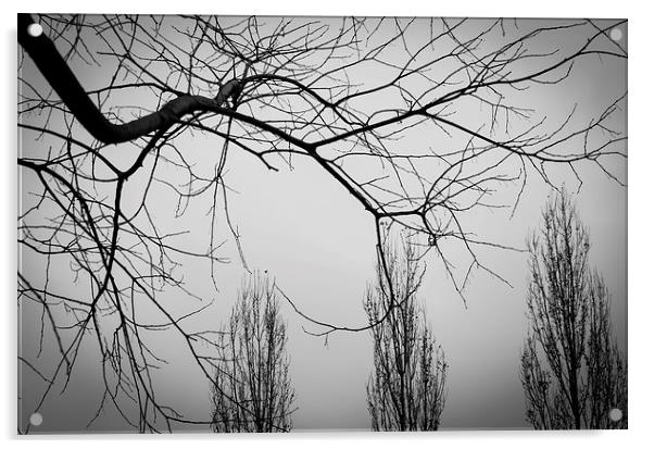 Grey winter Acrylic by Chiara Cattaruzzi