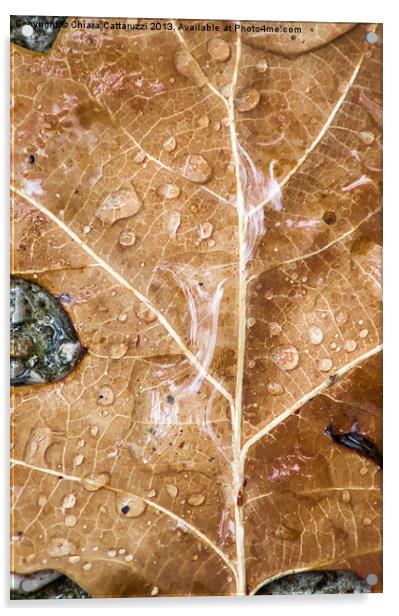 The rain on the leaf Acrylic by Chiara Cattaruzzi