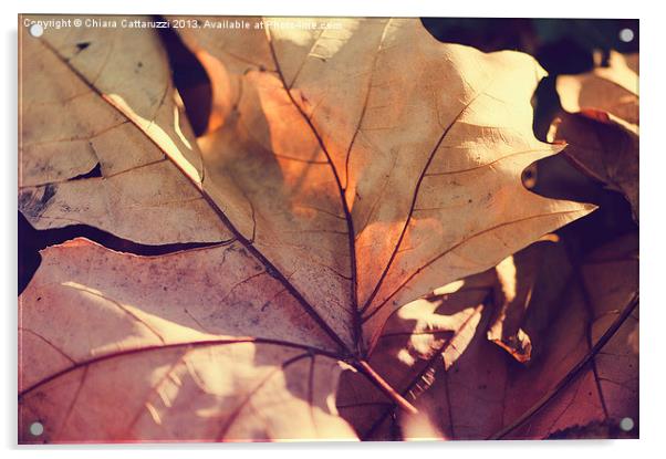 November leaf Acrylic by Chiara Cattaruzzi