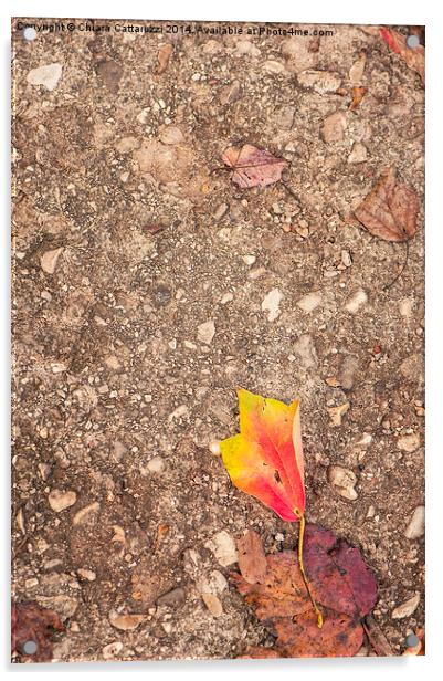  Fall leaf fallen Acrylic by Chiara Cattaruzzi