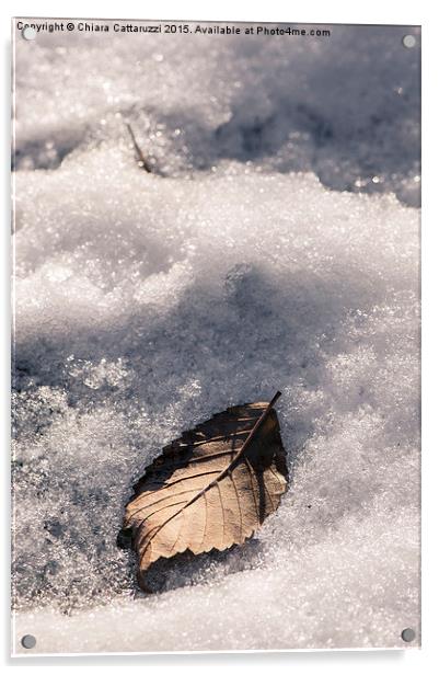  …in the white snow Acrylic by Chiara Cattaruzzi