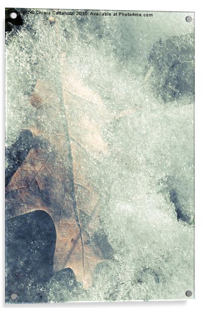  Frozen leaf Acrylic by Chiara Cattaruzzi