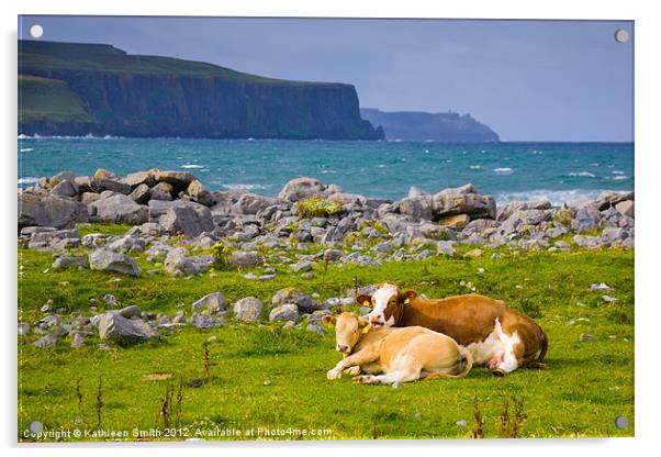 Cow and calf in Ireland Acrylic by Kathleen Smith (kbhsphoto)