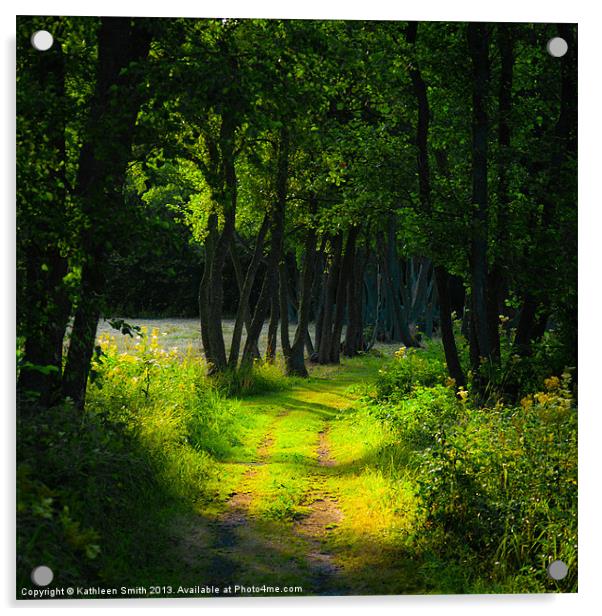 Old tree-lined path Acrylic by Kathleen Smith (kbhsphoto)