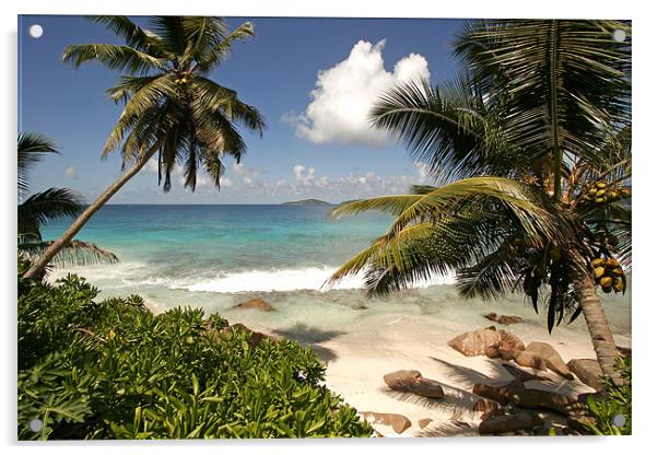 Anse Patates, Seychelles Acrylic by peter schickert