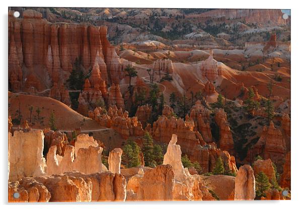 Bryce Canyon Acrylic by peter schickert