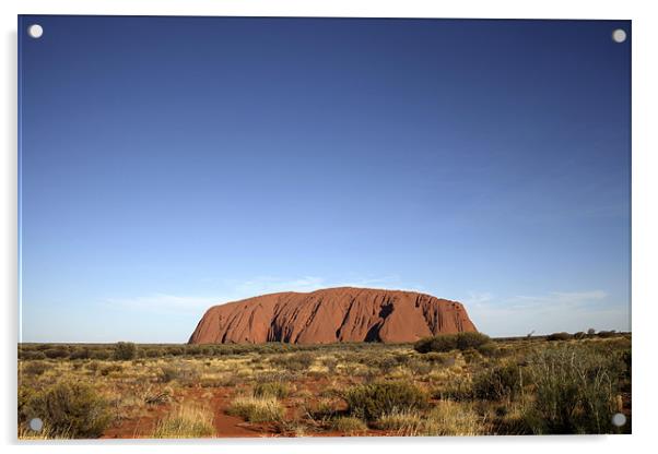 Uluru or Ayers Rock Acrylic by peter schickert