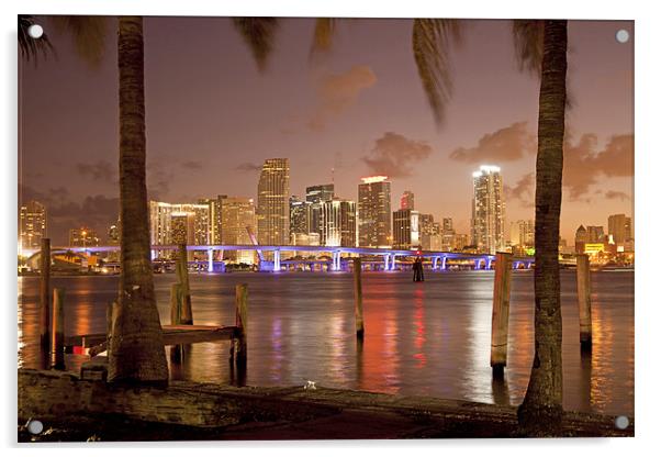 Downtown Miami,  Florida, Acrylic by peter schickert