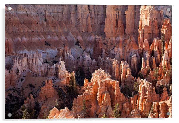 Bryce Canyon Acrylic by peter schickert