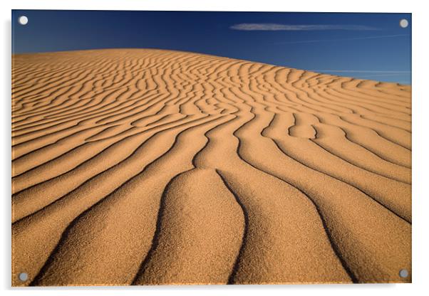 Sand Dune Acrylic by peter schickert