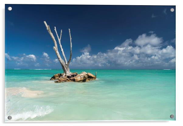 Punta Cana,  Dominican Republic Acrylic by peter schickert