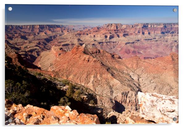 Grand Canyon USA Acrylic by peter schickert