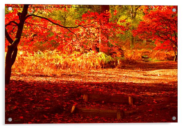  An English Woodland.  Acrylic by Nick Wardekker