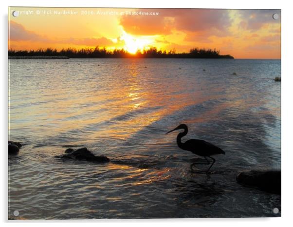       A Caribbean Sunset                          Acrylic by Nick Wardekker