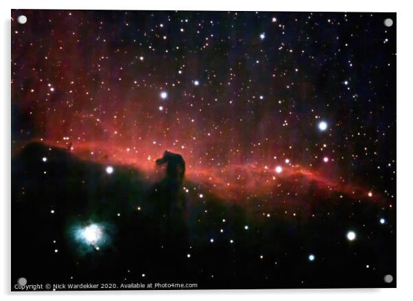 The Horse Head Nebula Acrylic by Nick Wardekker